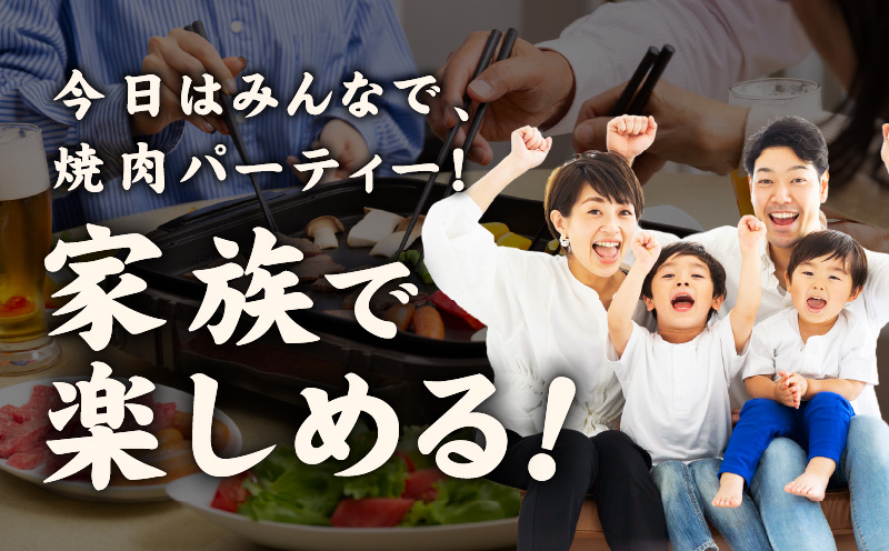 牛肉 ハラミ 1.2kg 小分け 300g×4P【氷温熟成×特製ダレ 味付き 牛肉 訳あり 不揃い 焼肉 BBQ 野菜炒め 圧倒的企業努力】 mrz0269-1