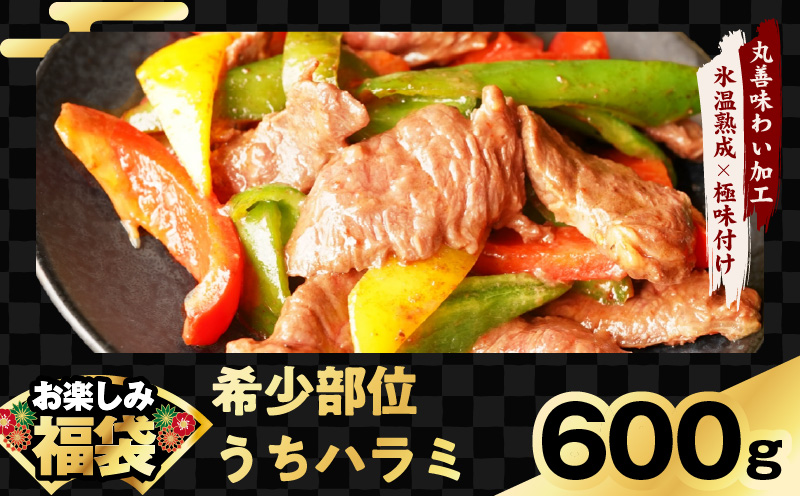 肉福袋 4種 3.8kg 焼肉セット（牛肉 切り落とし／牛ハラミ／豚肉 スペアリブ／鶏肉）【氷温熟成×極味付け 焼くだけ 食べ比べ ふくぶくろ お楽しみ 簡単調理】 mrz0328