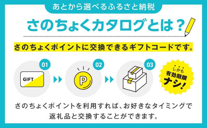 【有効期限なし】あとから選べる さのちょくカタログ（寄附1,000円コース）【泉佐野市 ふるさとギフト 3000品以上 高評価 肉 ビール 海鮮 野菜 定期便 タオル ティッシュ 後から カタログギフト あとからセレクト】  sn020 寄附1,000円コース