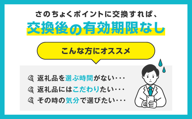 【有効期限なし】 あとから選べる 泉佐野ふるさとギフト（寄附1,000,000円コース）【3000品以上掲載 高評価 カタログ 肉  牛たん ビール  かに サーモン 野菜 定期便 おせち タオル ティッシュ あとからセレクト カタログギフト】 sn027a 寄附1,000,000円コース