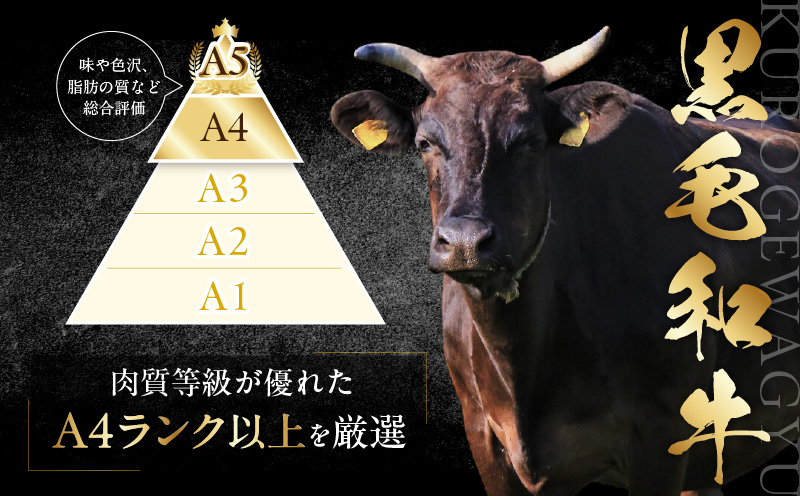 【A4ランク以上】黒毛和牛 サーロイン 切り落とし 1kg【250g×4P 小分け 国産 味付き 牛肉 訳あり サイズ不揃い】 G3655-1
