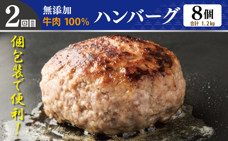 店主セレクト 食べ比べ 定期便 全4回（ハンバーグ／しらす／スンドゥブチゲ／サムギョプサル）【毎月配送コース】 099Z288