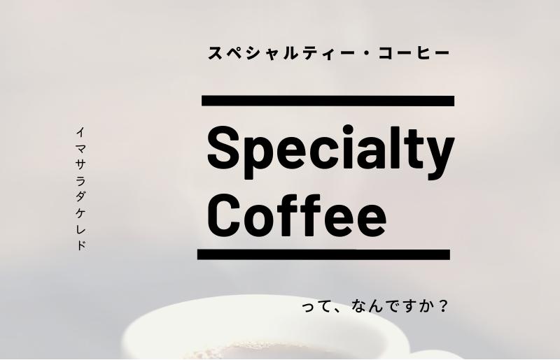 スペシャルティコーヒー焙煎豆 浅煎り 300g 定期便 全6回【2か月に1回配送 珈琲 COFFEE コーヒー オリジナル キャンプ アウトドア】 G1408