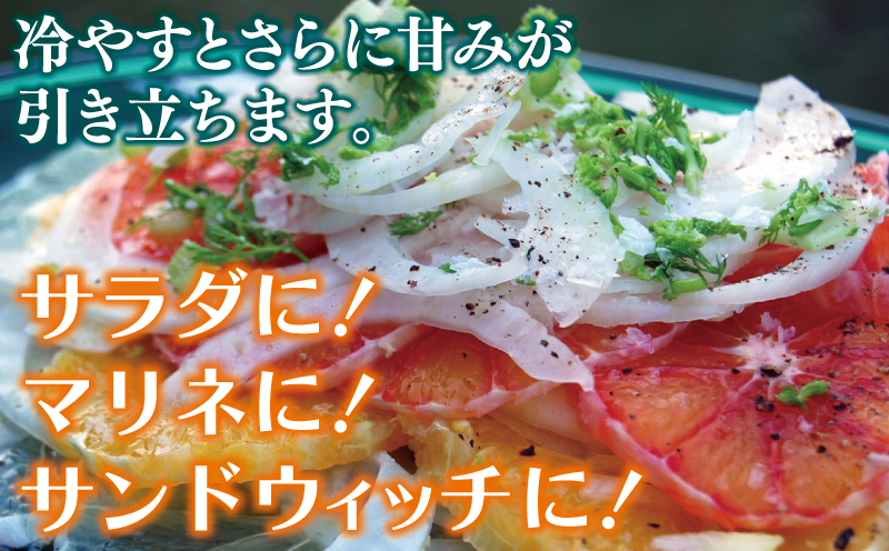 【先行予約】泉州たまねぎ 3.5kg【超極早生 玉ねぎ 農家直送 新鮮 野菜 やさい 期間限定】 005A737