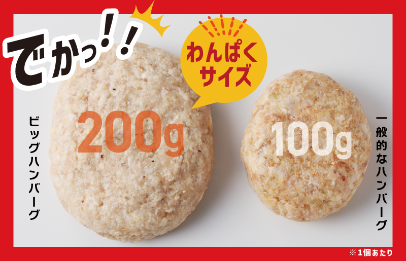 黒毛和牛入り BIGハンバーグ 200g×6個 005A657