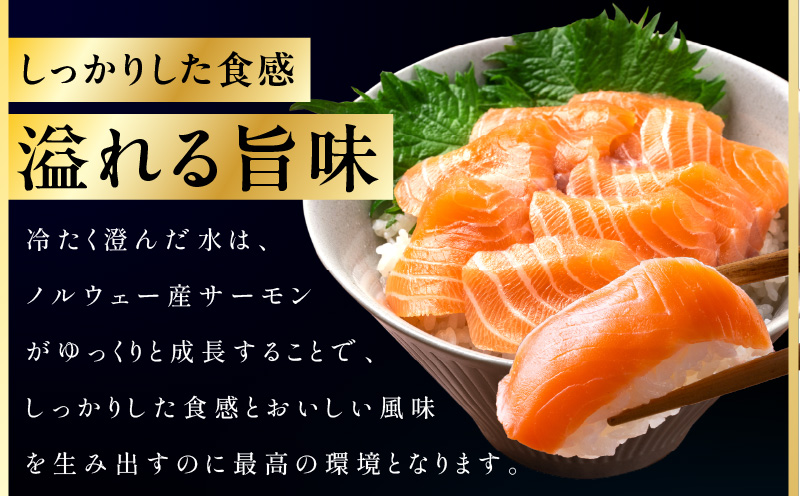 ノルウェー産 プレミアム アトランティックサーモン 1kg 【2～5柵 訳あり サイズ不揃い 上質 刺身 海鮮丼 サラダ 冷凍 物価高応援】 kgp0079