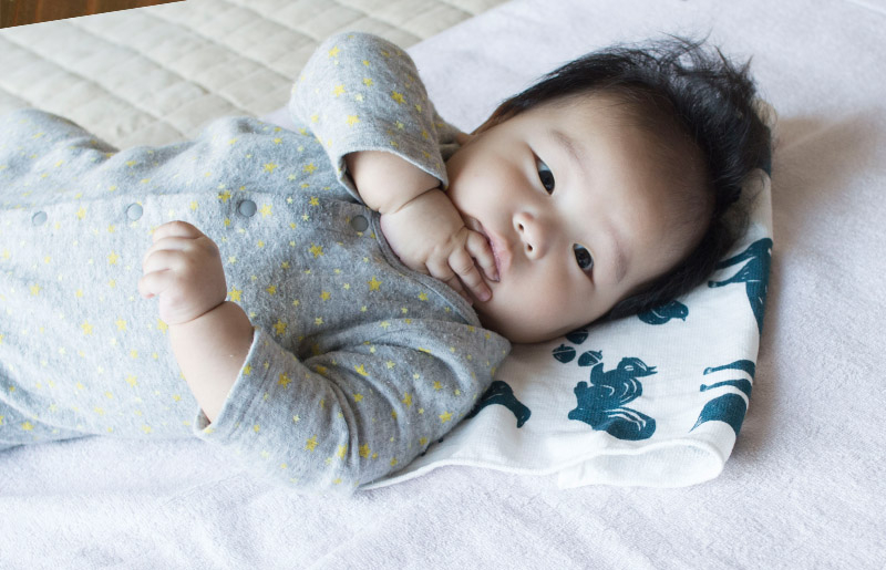 【スピード発送】パレットガーゼフェイスタオルおまかせ7枚 G2065