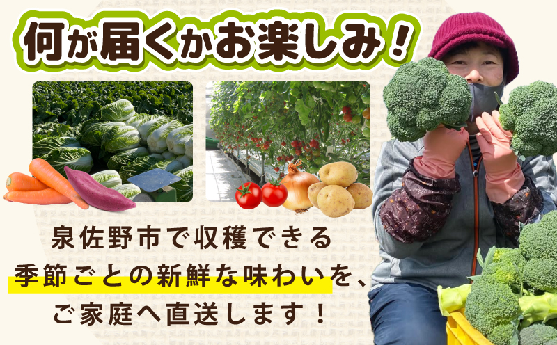 旬のおまかせ野菜 セット 2～7種類【産地直送 国産 やさい 新鮮 おまかせ 詰め合わせ 詰合せ】 G3452