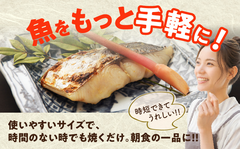【定期便】さわら 切身 約50g×20切れ 全2回【2026年3月＆2026年6月発送 小分け 漁師 手切り 1kg 泉州 鰆 切り身 弁当 朝食 時短 訳あり サイズ不揃い 規格外 冷凍食品 圧倒的企業努力】 G3737-1