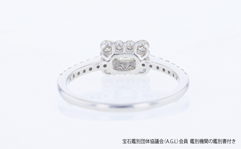 ARC-EN-CIEL PTダイヤリング（計 0.50ct）【鑑別書付き ジュエリー プレゼント ギフト ファッション アクセサリー 贈り物 贈答 お祝い 記念日】 J091