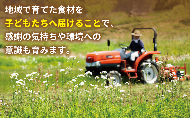 【返礼品なし】SDGs持続可能な食の環境づくり！オーガニック給食と地産地消 推進応援寄附（大阪府泉佐野市） ON0053