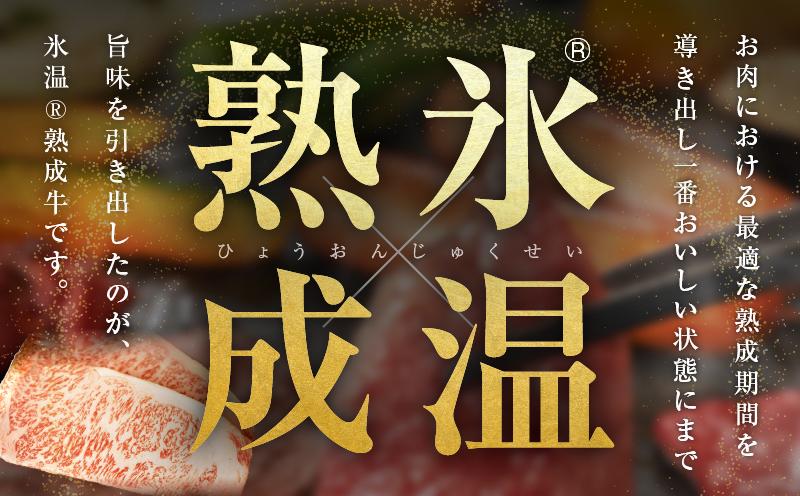 【氷温熟成×極味付け】黒毛和牛A4等級 ロースステーキ400g（2枚で合計400g） mrz0275
