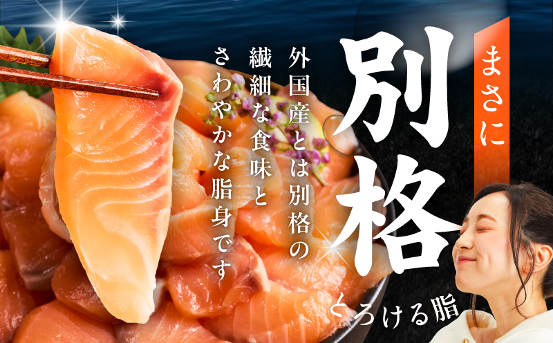 国産アトランティックサーモン 1kg ポーション【小分け 真空パック 訳あり サイズ不揃い 刺身 海鮮丼 さーもん 鮭 さけ シャケ しゃけ 冷凍】 nbj0011