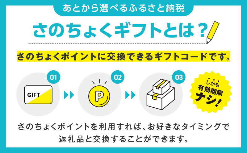 【有効期限なし】 あとから選べる 泉佐野ふるさとギフト（寄付金額 1,000 円～） 【3000品以上掲載 高評価 カタログ 肉  牛たん ビール  かに サーモン 野菜 定期便 おせち タオル ティッシュ あとからセレクト カタログギフト】 sn020a 寄附1,000円コース