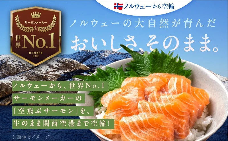 【特別規格】アトランティック サーモン 200g＋はしっこ100g【エコパック 小分け 訳あり サイズ不揃い 刺身 さーもん 冷凍 北国からの贈り物】 005A665-2