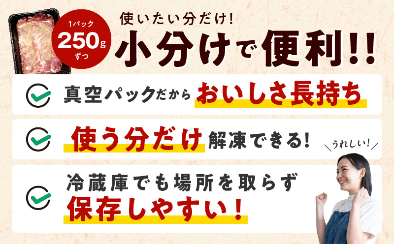 ねぎ塩 牛たん お試し 500g【小分け 250g×2 成型 牛タン 牛肉 焼肉用 薄切り 訳あり サイズ不揃い】 005A741