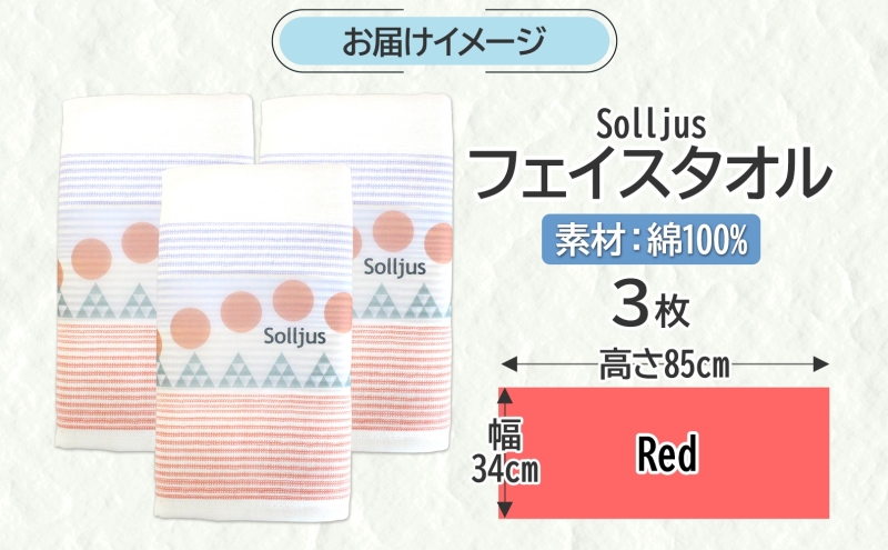 Solljus ソリュース フェイスタオル レッド 3枚 泉州タオル 005A734