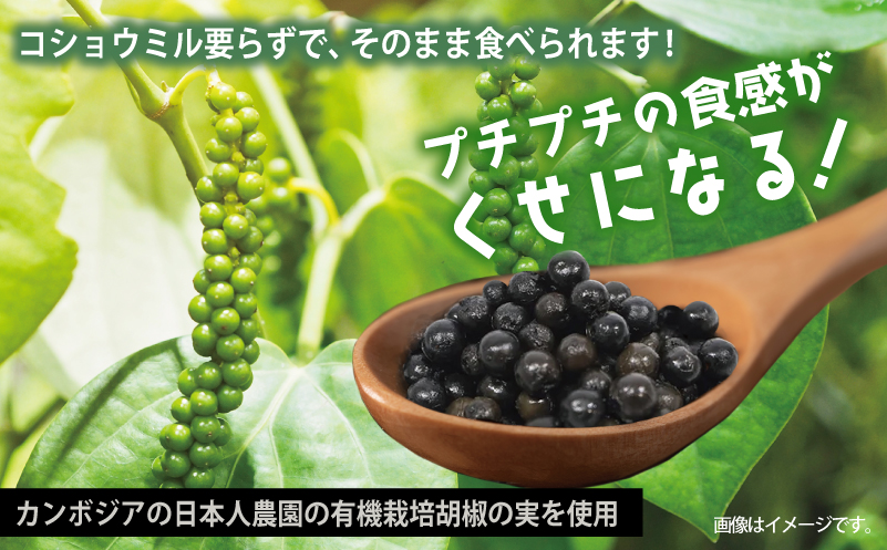 生胡椒 塩漬け 50g×1P【コショウ こしょう カンポットペッパー スパイス カンボジア】 005A744