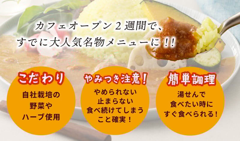 【圧倒的企業努力】15種スパイスを使用したSONカフェ特製カレー 200g×5P&玉ねぎのアチャール×1P&キャベツのピクルス×1P いずみピクルス NSW 099H3787
