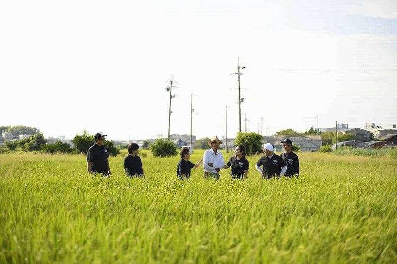 Premium水なすセット【新鮮 野菜 泉佐野産 茄子 やさい 高評価 数量限定】 020C066