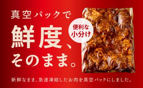 特製タレ漬け ハラミ 500g 小分け 250g×2P 牛肉 焼き肉専門店 099H3564