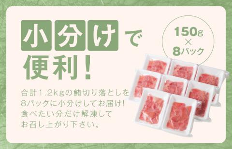 【家計応援】天然まぐろ 切り落とし 合計 1.2kg 小分け 150g×8P【訳あり サイズ不揃い 刺身 海鮮丼 鮪 まぐろ マグロ ユッケ 海鮮 ネギトロ 小分け ファミリー向け】 015B569