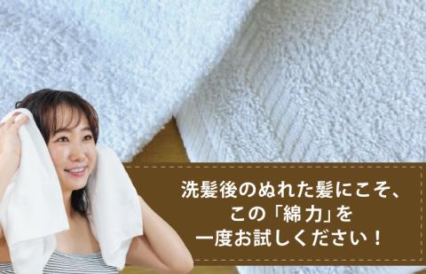 【スピード発送】高吸水 フェイスタオル 5枚 ホワイト【これぞ綿力 泉州タオル 国産 吸水 普段使い シンプル 日用品 家族 ファミリー】 099H2606