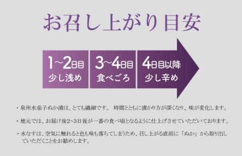 【先行予約】特選水なす浅漬け＆生なす 5個入り【食べ比べ 新鮮 野菜 泉佐野産 茄子 やさい 高評価 数量限定】 010B1649