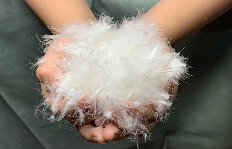 羽毛布団 1枚 シングル 150cm×210cm アイボリー ふかふか 1.6kg仕様【国産 羽毛 ふとん 寝具 掛け布団 羽毛ふとん】 100F058