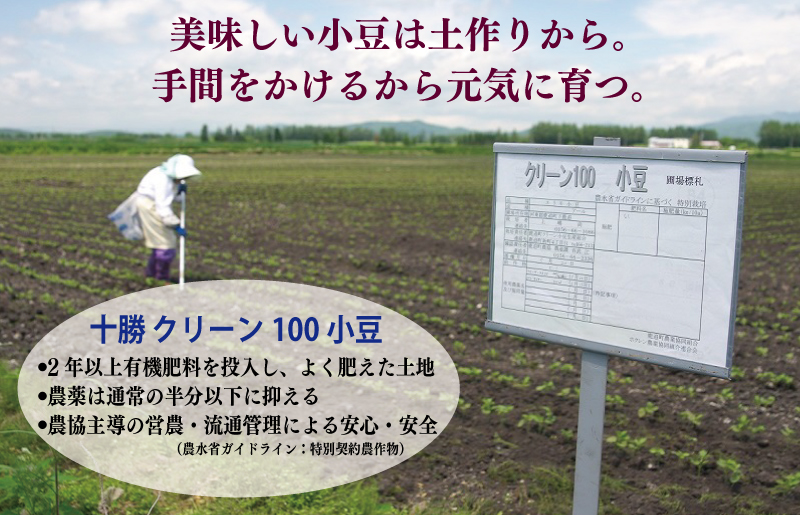 【創業80年】赤こし餡 合計 2kg 小分け 1kg×2P【泉州 和菓子 スイーツ おしるこ あんバター】 099H2437