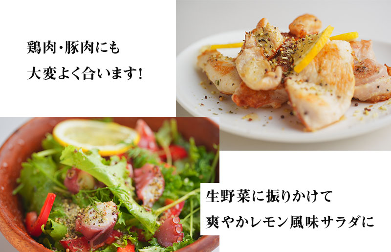 焼き肉専門店 レモン塩 スパイス 90g×4袋 お試し 099H2492