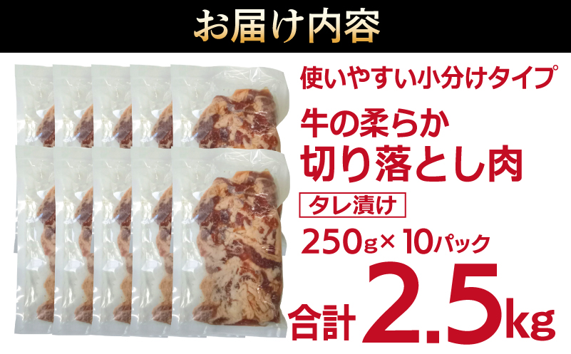 牛肉 切り落とし タレ漬け 合計2.5kg【味付け 小分け 焼くだけ 簡単調理 BBQ 牛肉 250g×10袋 普段使い】 099H3383