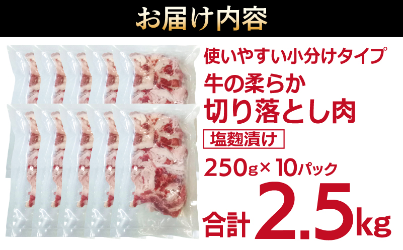 牛肉 切り落とし 塩麹漬け 合計2.5kg【味付け 小分け 焼くだけ 簡単調理 BBQ 牛肉 250g×10袋 普段使い】 099H3387