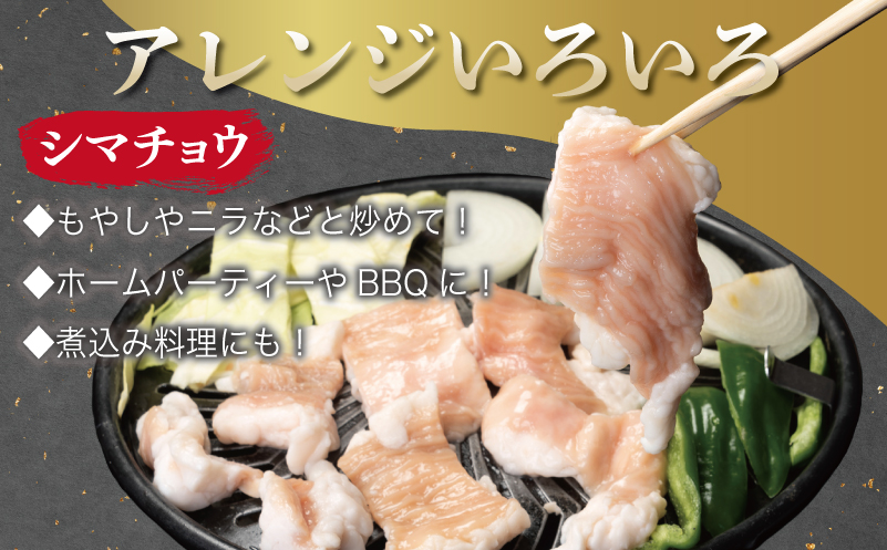 牛カルビ＆シマチョウ 塩麹漬け 焼肉セット 合計3kg【味付け 小分け 焼くだけ 簡単調理 BBQ 250g×12袋 牛肉 ホルモン 普段使い】 099H3397