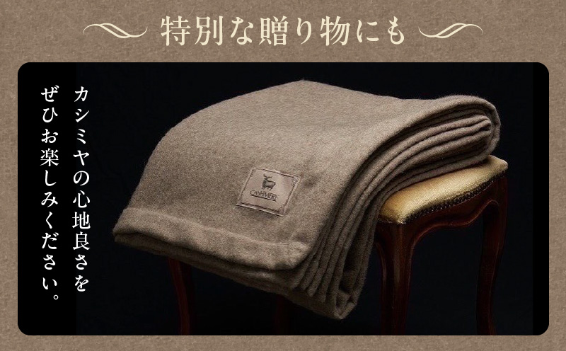 【10セット限定】カシミヤ100% 最高級ブランケット 1枚【シングル 150cm×210cm 寝具 贈り物 ギフト カシミアブラウン】 099H3415a
