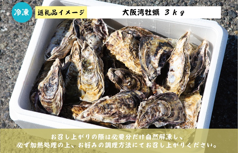 牡蠣 3kg【先行予約 かき カキフライ 冷凍 加熱用 殻付き 魚介類 海鮮 大阪湾 産地直送】 G2187