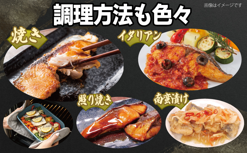 さごしフィレ 合計1kg以上 【小分け 切り身 海産 魚 お弁当 焼き魚 冷凍 惣菜 焼くだけ 訳あり サイズ不揃い 圧倒的企業努力】 099H3890-1
