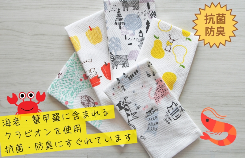 【無地熨斗】抗菌防臭！ふきぴか キッチンタオル 5枚セット （ギフト仕様 デザインおまかせ） 010B1857