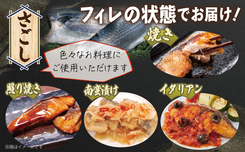 【ANA限定】さわら西京漬け３袋500g+さごしフィレ 合計500g　合計1kg【小分け 切り身 海産 魚 お弁当 焼き魚 冷凍 惣菜 焼くだけ】 099H4097