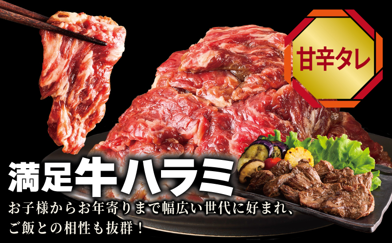 牛タン焼肉 オリジナルスパイス＆牛ハラミ甘辛 食べ比べ焼肉セット 合計500g（250g×2P） 099H4380