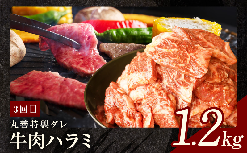 焼肉定期便 総量3.4kg（肩ロース／牛タン／牛ハラミ）全3回 丸善味わい加工【毎月発送コース】 mrzZ009