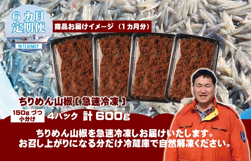 ちりめん山椒しらす 600g×全6回【定期便 小分け シラス しらす sirasu 海鮮 人気 おすすめ 産地直送】 G2192