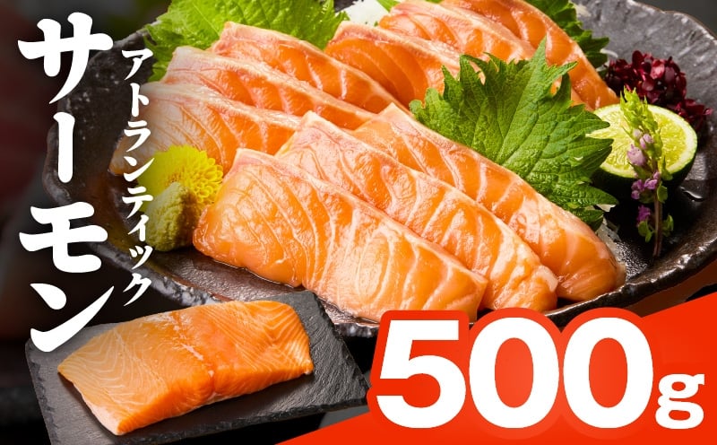 牛タン＆サーモン 食べ比べ 定期便 2回 総量1kg【牛肉 焼肉 牛たん 海鮮 サーモン お楽しみ 福袋】 099Z477