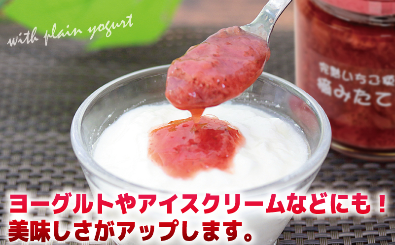 【先行予約】完熟朝摘みいちごのジャム【苺 無添加 自然素材 フルーツ イチゴ 高評価 数量限定】 005A433