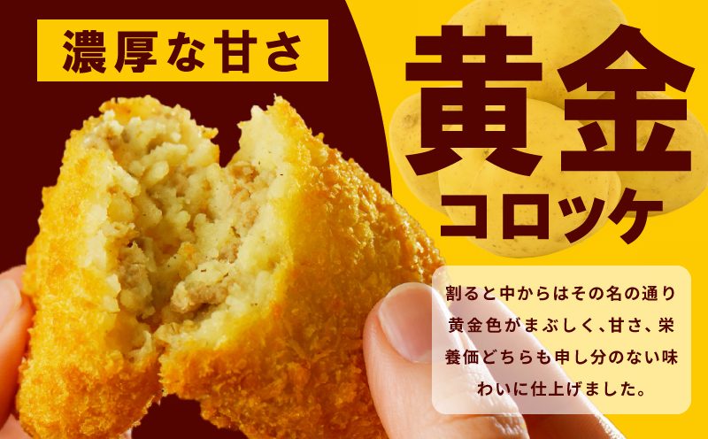 【圧倒的企業努力】こだわりの国産素材 手作りコロッケ 合計10個【黄金 無添加 国産 惣菜 おやつ おつまみ お弁当 三代目コロッケ】 G3542