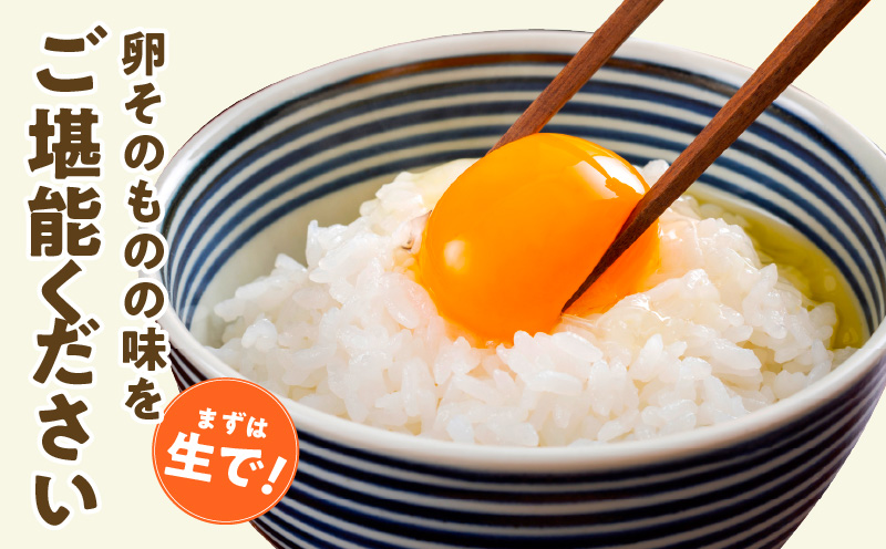 戸野さん家のこだわりタマゴ 30個 Mサイズ【卵 たまご 国産 濃厚 とことん餌にこだわった とのたま】 005A566