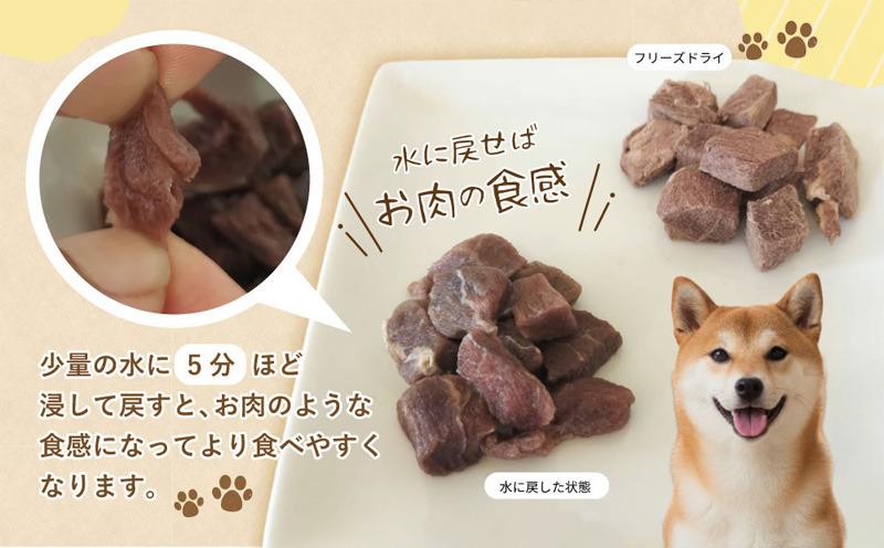 ALOHAS 馬肉フリーズドライ 犬猫用おやつ 25g×3袋【犬猫用 国産 無添加 無着色 高タンパク 低脂肪 ドッグフード キャットフード】 005A706