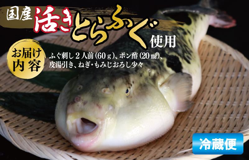 国産活け とらふぐ ふぐ刺し 2人前【てっさ ふぐ フグ ぽん酢付 冷蔵 海鮮】 099H3375