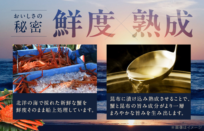 カニ ボイルズワイ蟹 800g（400g×2肩）約2-3人前 昆布仕立て kgp0062