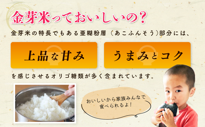 金芽米 4.5kg(無洗米) 【4.5kg×1袋 ご飯 ごはん お米 精米 金芽米計量カップ付】 015B630